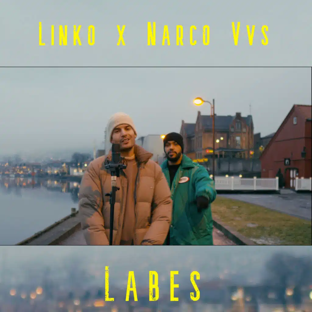Labes (feat. Narco Vvs)