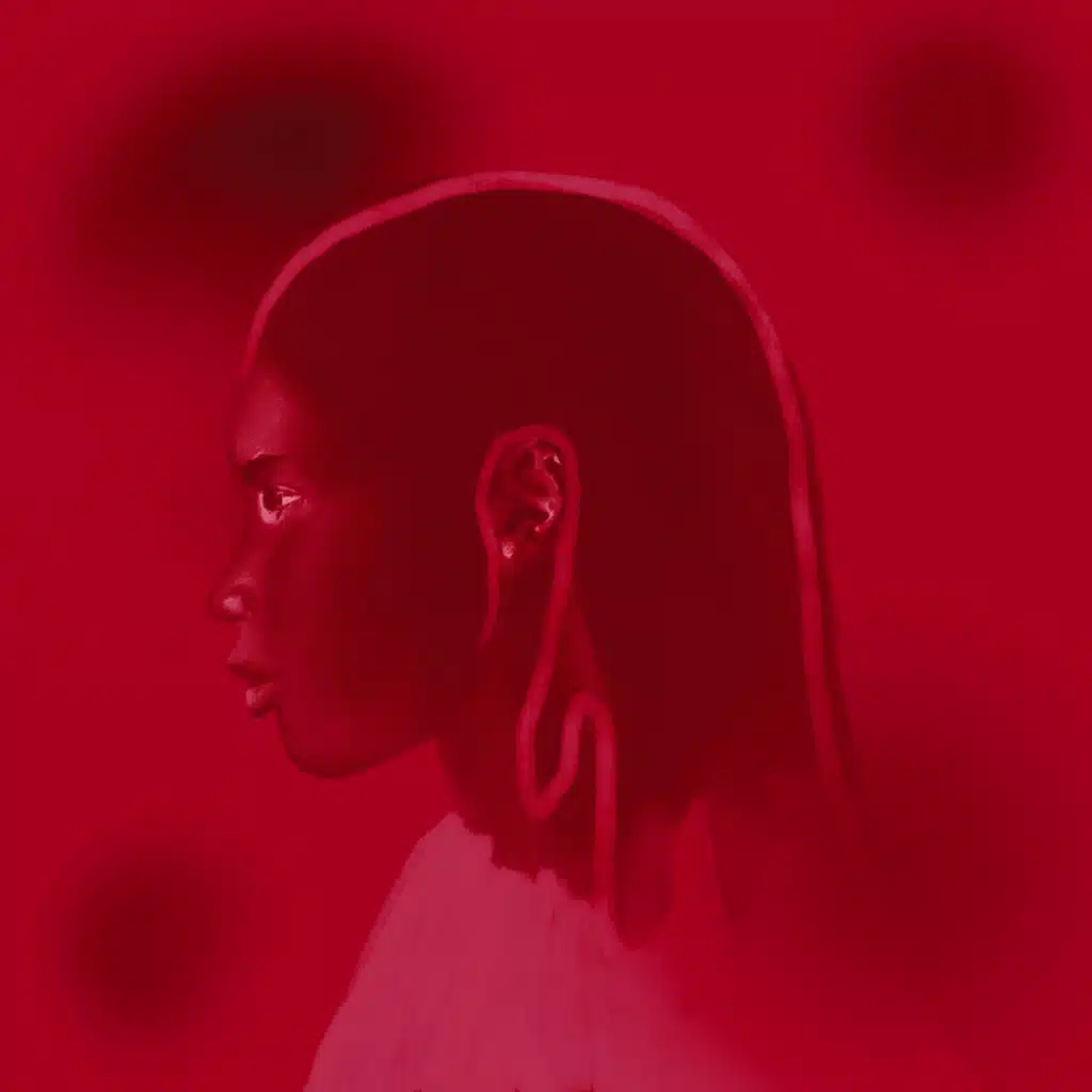 What I Need (Drega Remix) [feat. Section Five & Thabza De Soul]