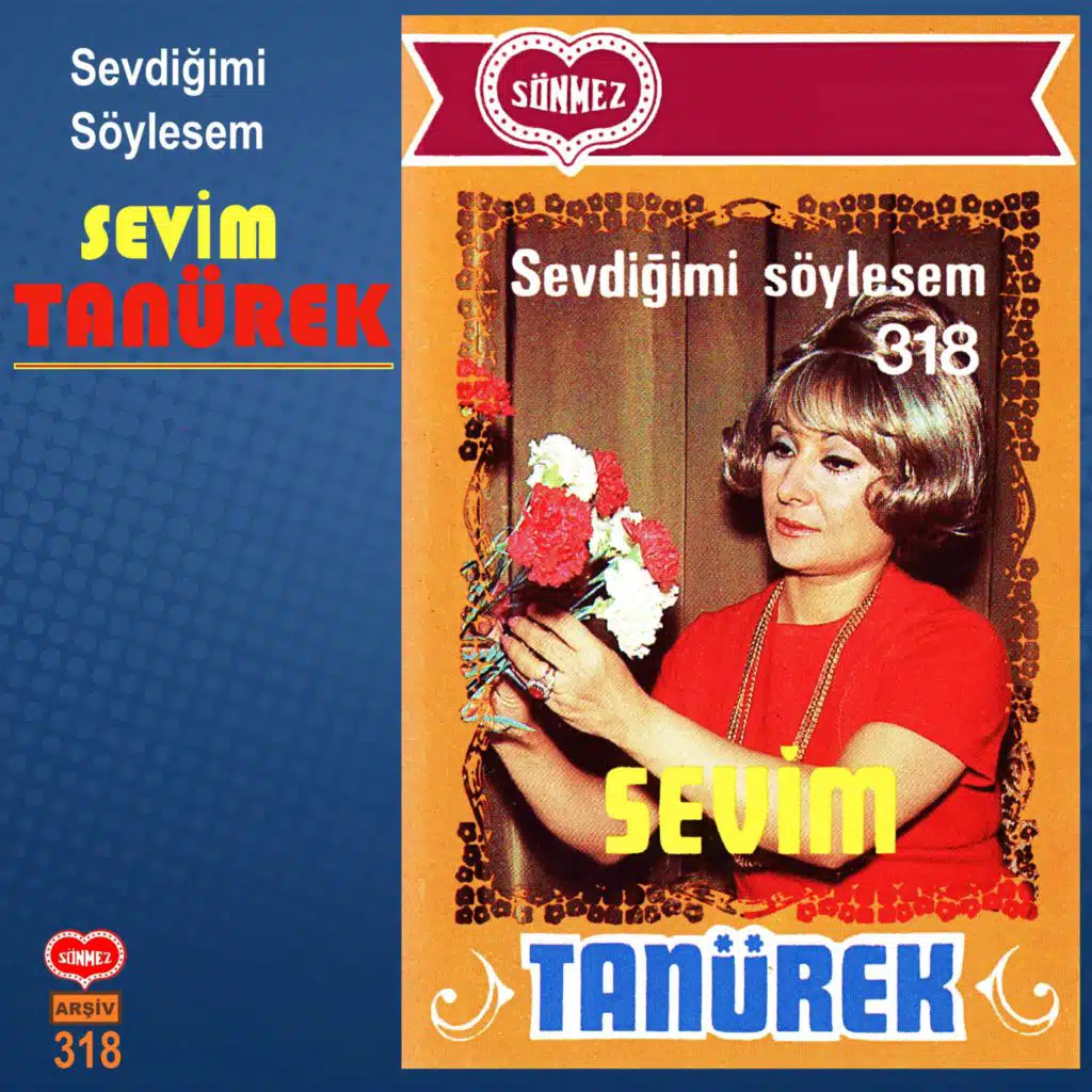 SEVDİĞİMİ SÖYLESEM