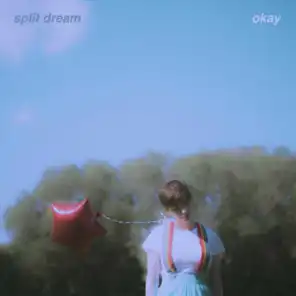 Split Dream