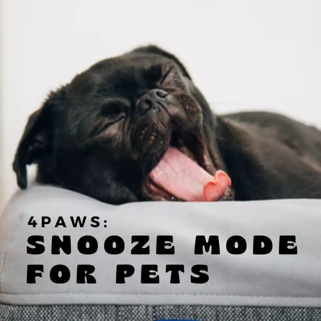 4Paws: Snooze Mode for Pets