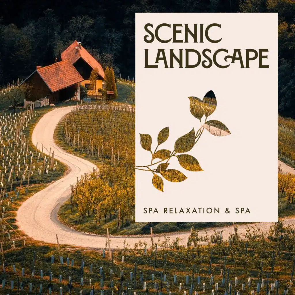 Spa Relaxation & Spa