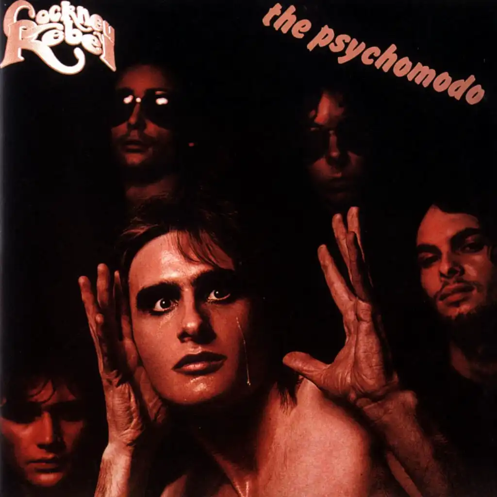 The Psychomodo