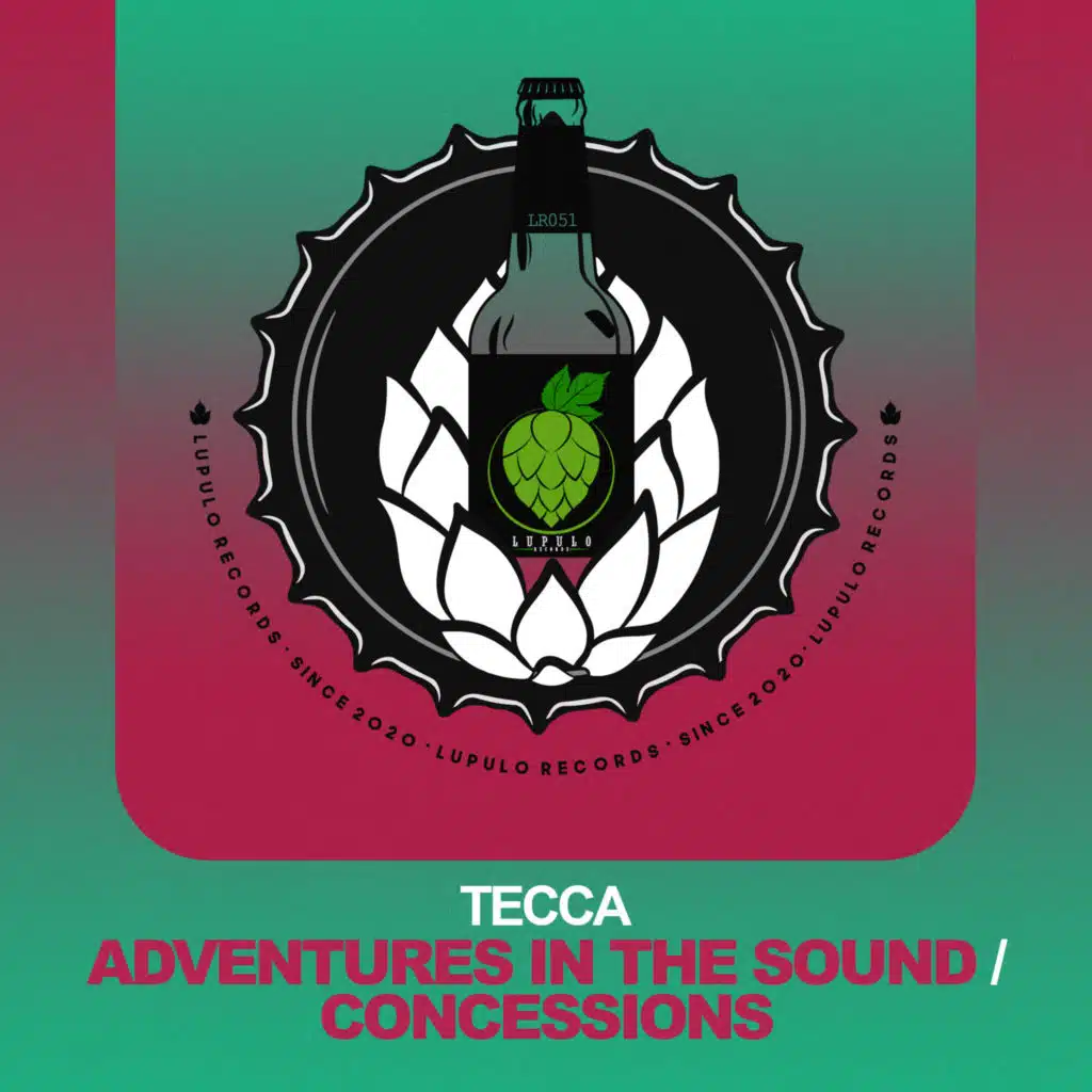 Adventures in the Sound / Concessions