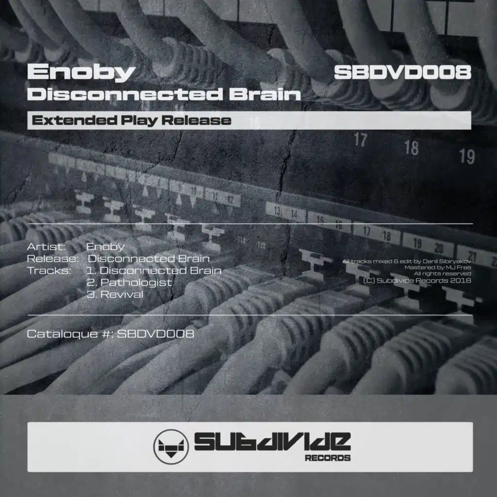 Disconnected Brain