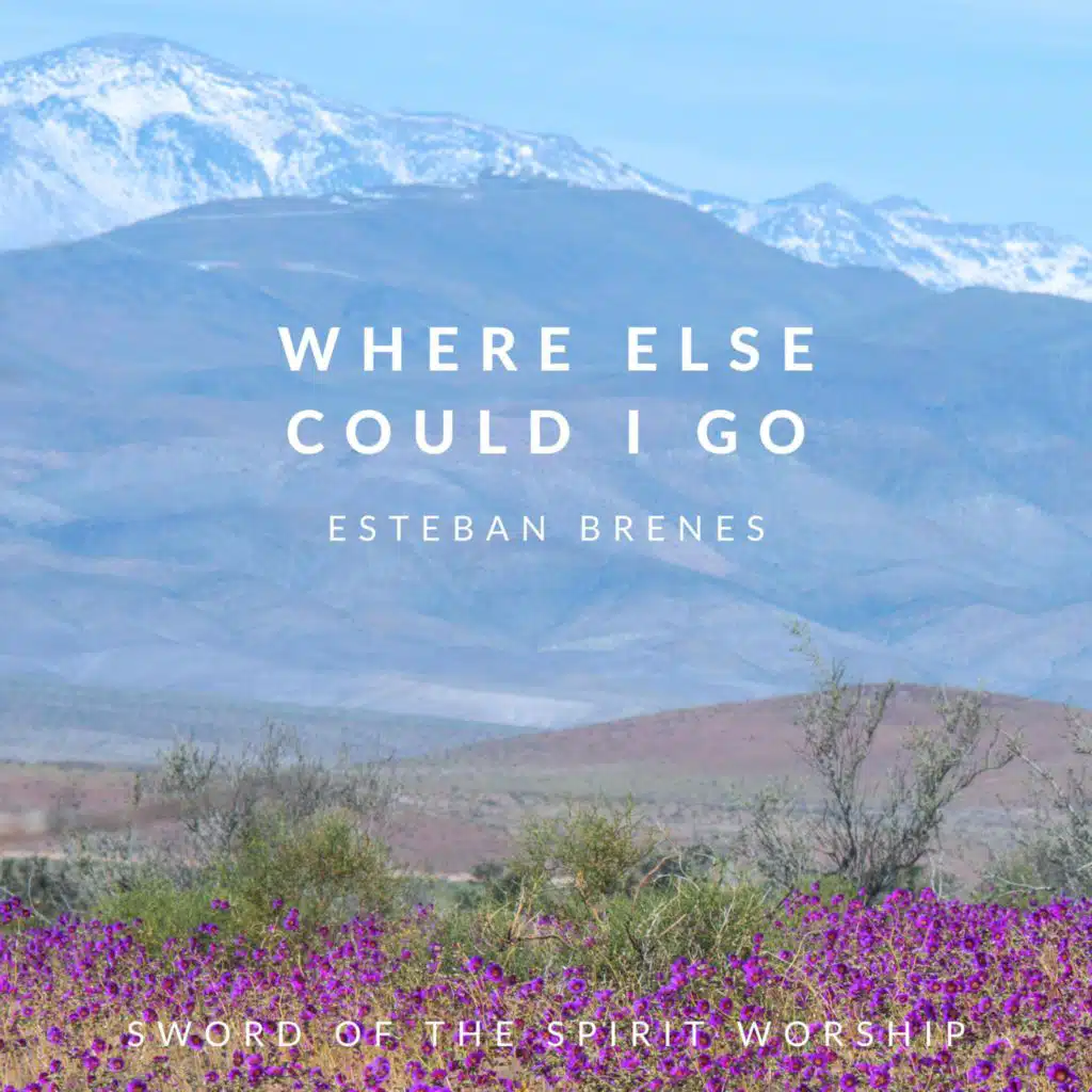 Where Else Could I Go