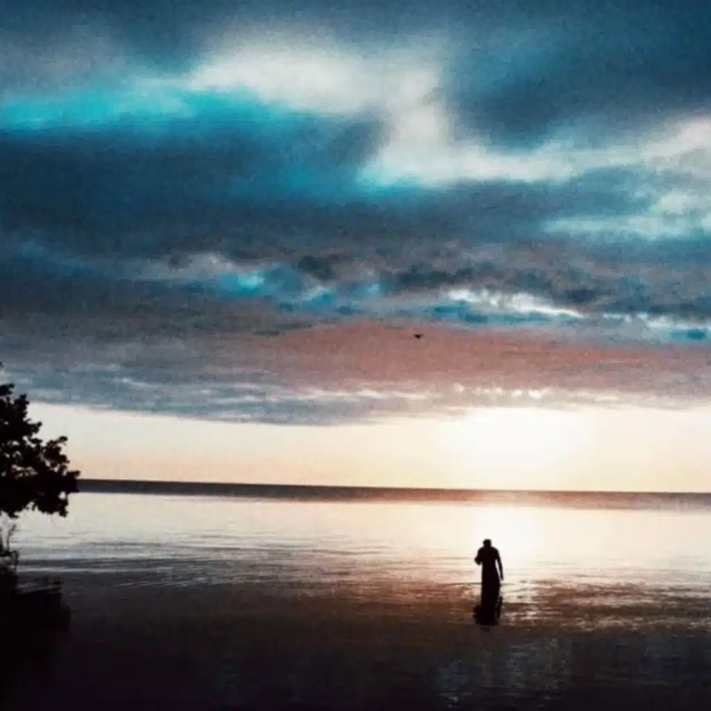Nochecitas de Playa y Folksito
