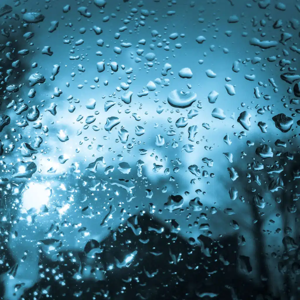 Rainy Day Calm
