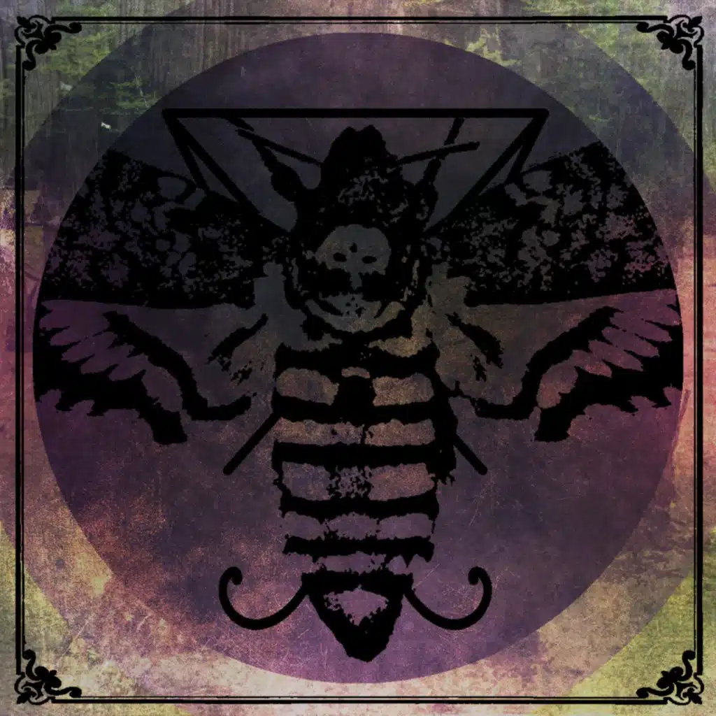 Death's Head Moth
