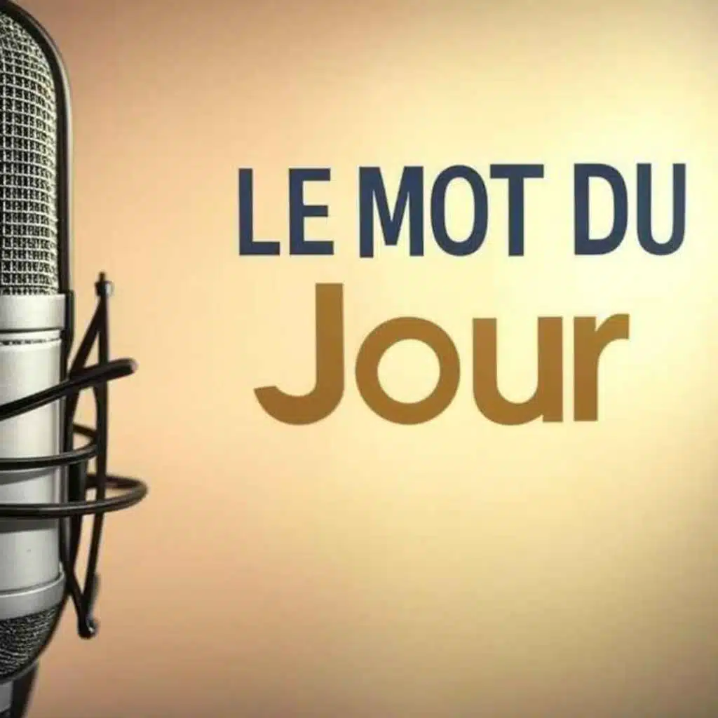 Le mot du jour #81 - "Magasin"