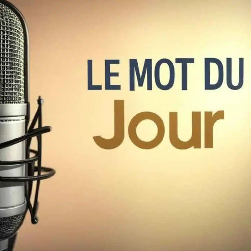 Le mot du jour #113 - Y