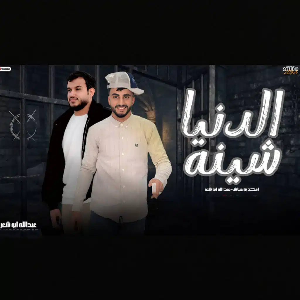 الدنيا شينه