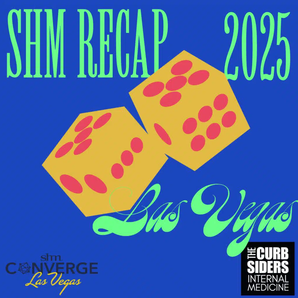 #482 Recap from SHM #Converge25