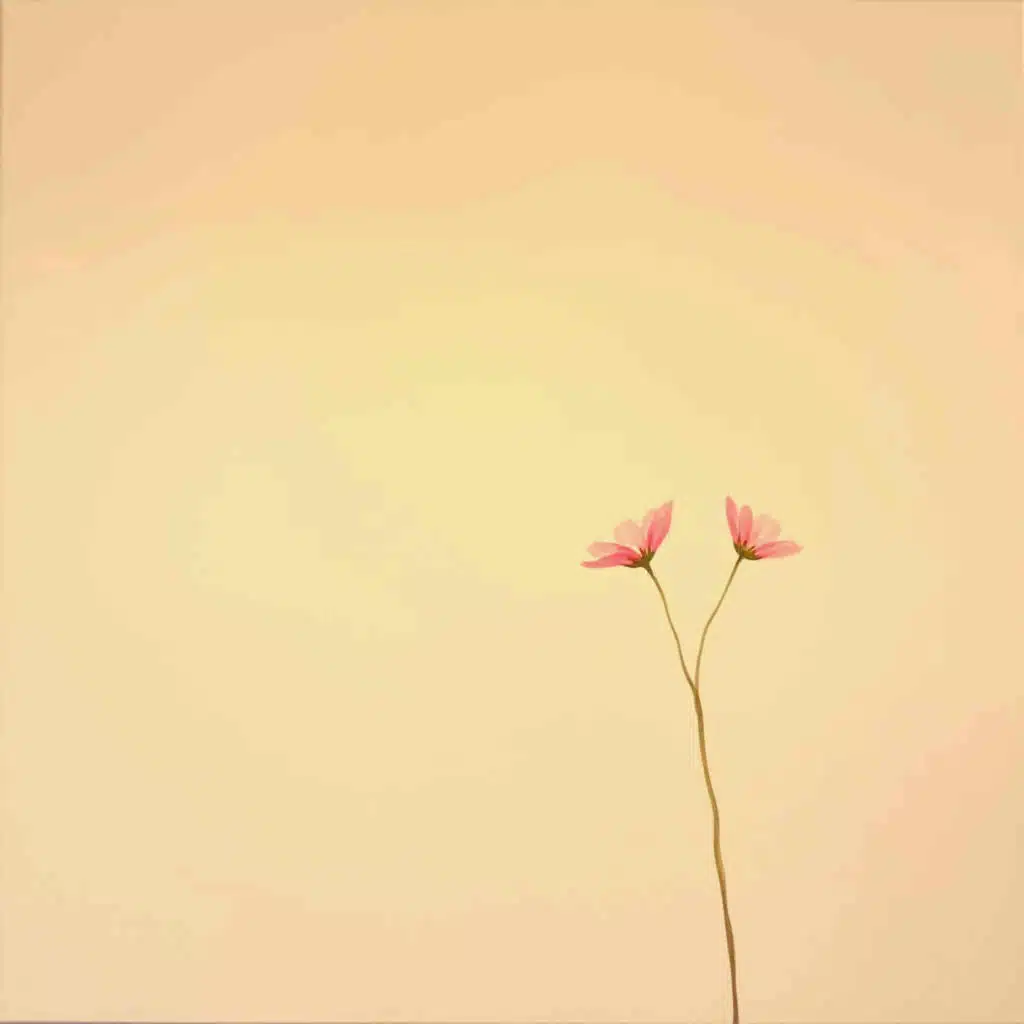 Cloudsurfin' & JazzyHan