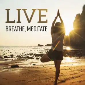 Live, Breathe, Meditate – Spiritual Kirtan Kriya, Vibrating Yoga, Satanama Mantra, Pure Mindfulness