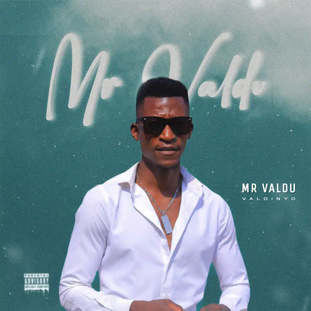 Mr Valdu Valdinyu