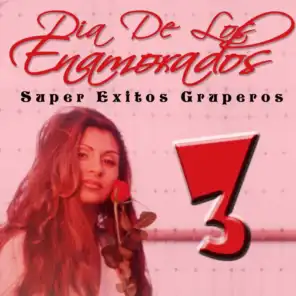 Dia de los Enamorados: Super Exitos Gruperos, Vol. 3