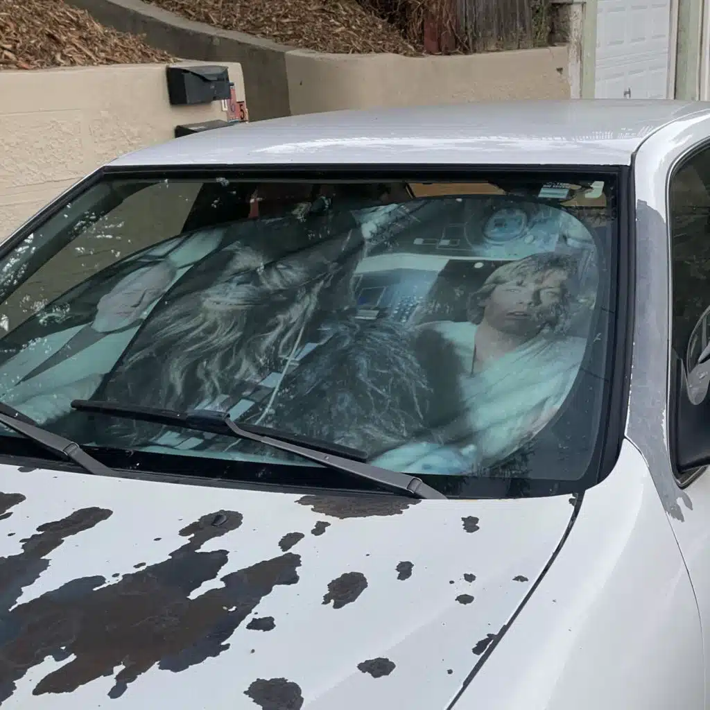 rain shower forecast