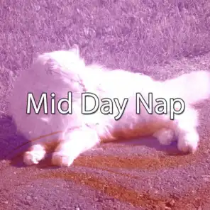Mid Day Nap