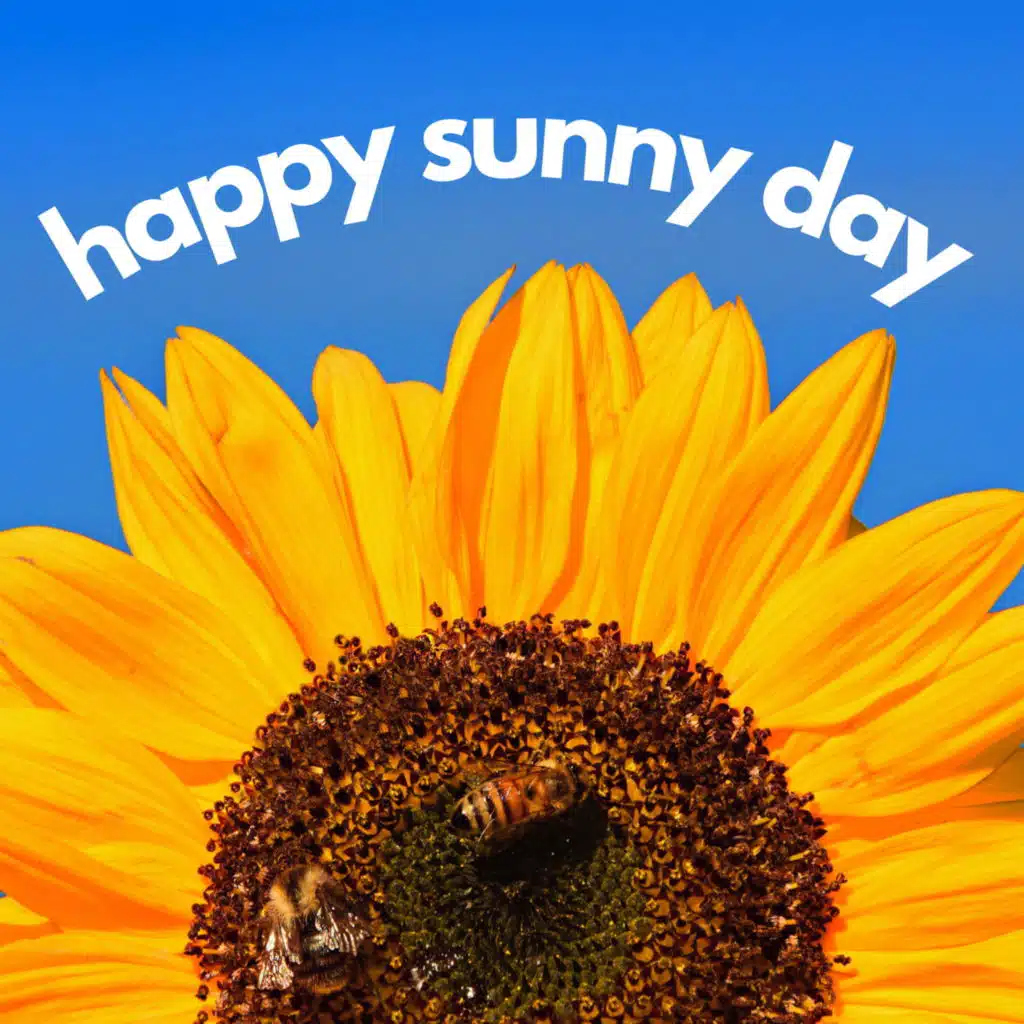 Happy Sunny Day