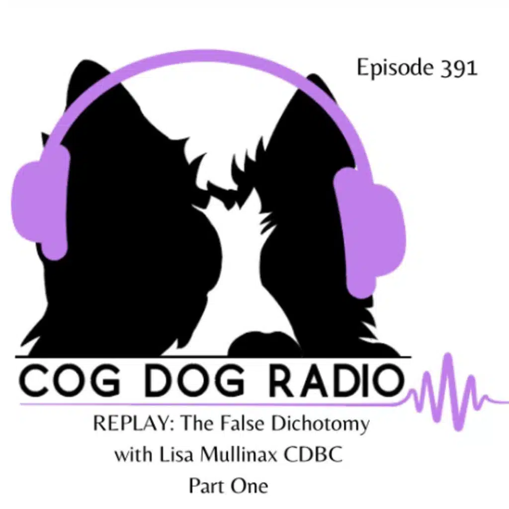 REPLAY: The False Dichotomy with Lisa Mullianx CDBC Part One