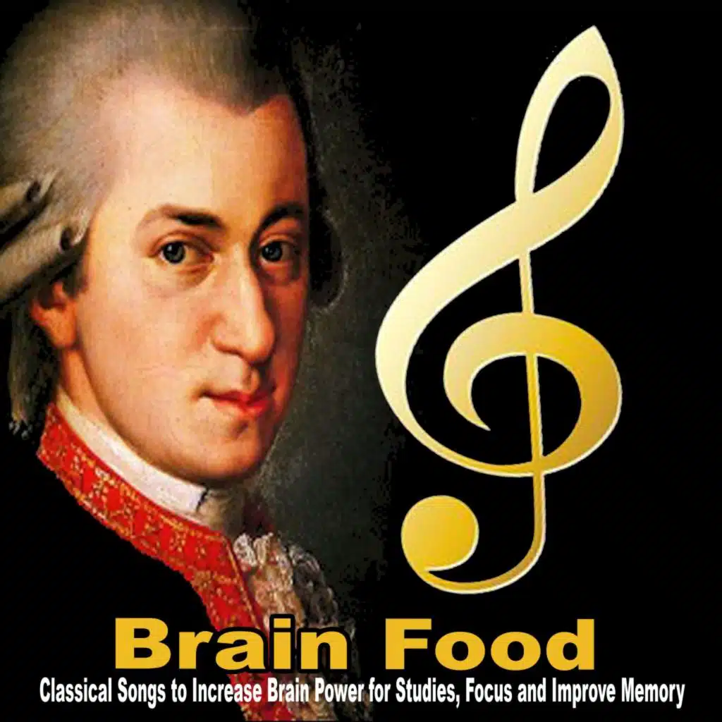 Concerto for Flute and Orchestra No. 2 in D Major, KV 314