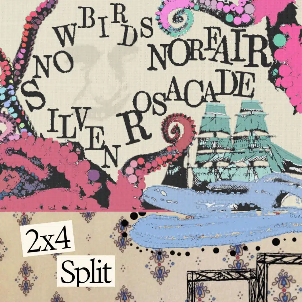 2x4 Split
