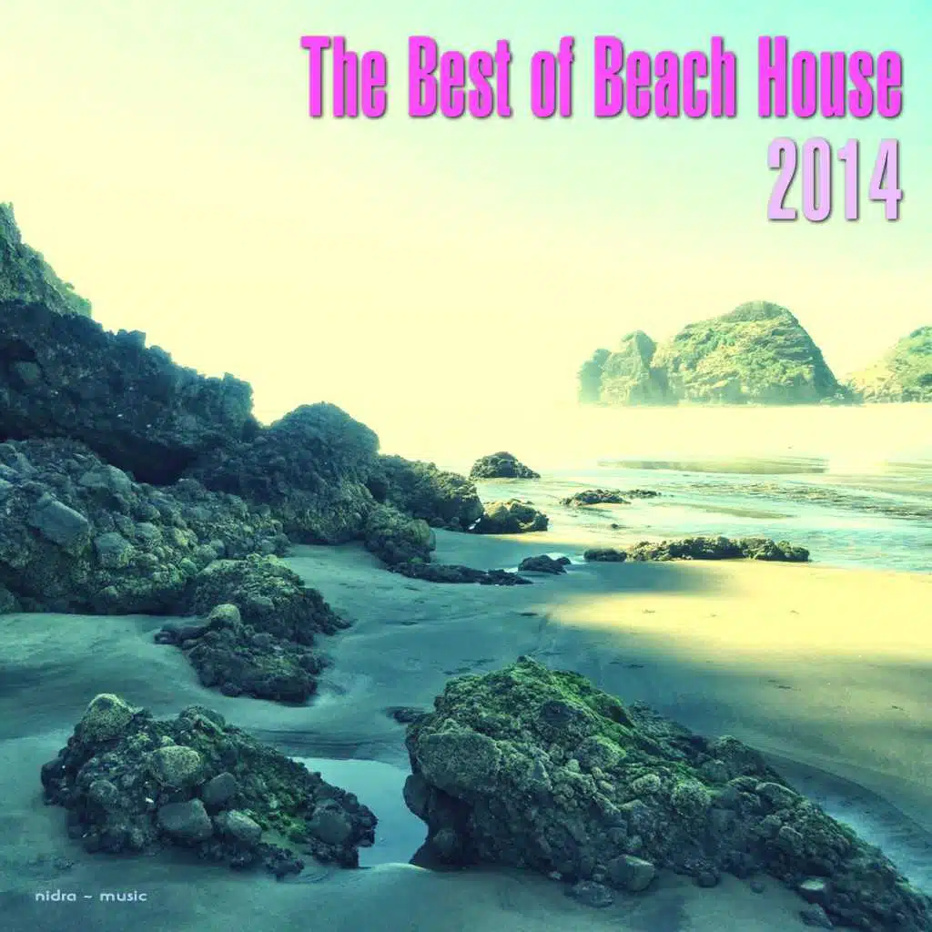 The Best of Beach House 2014