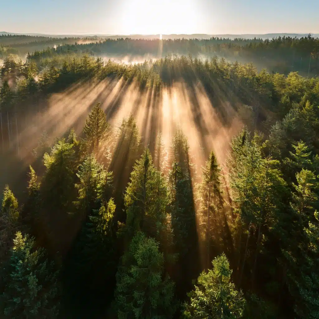 Luminous Sands Of The Soul