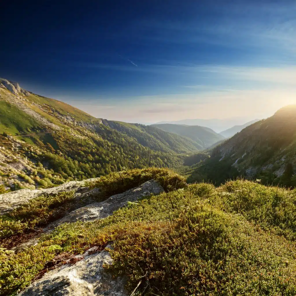 The Color Of Unseen Realities