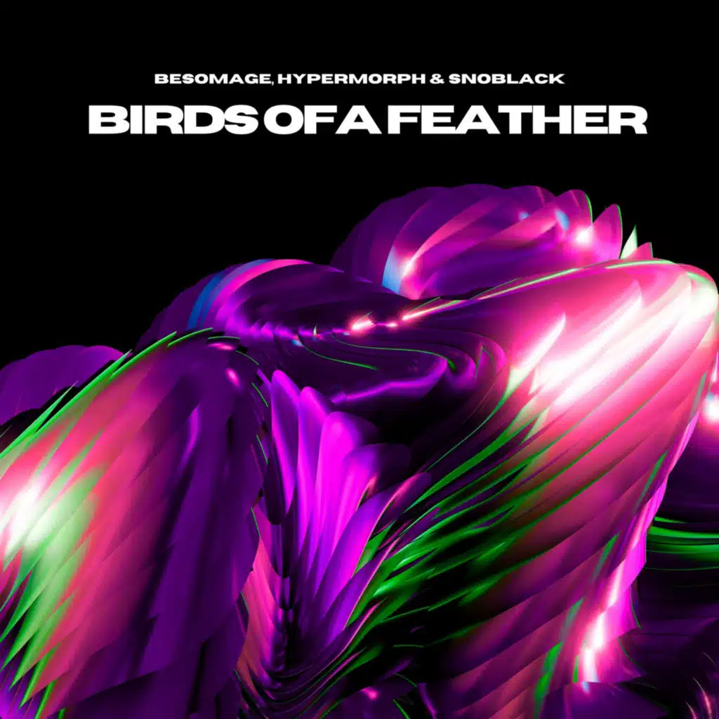 Birds Of A Feather