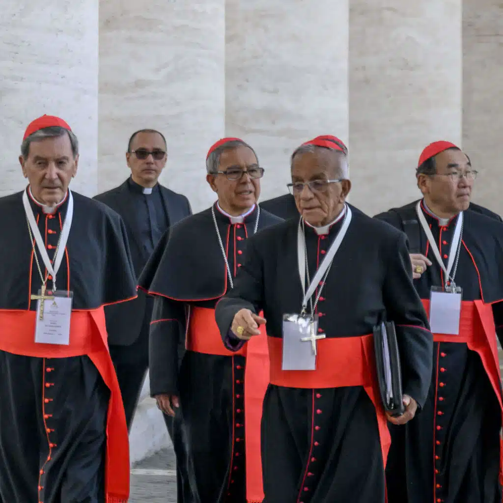 Who are the Cardinals Who Will Pick the Next Pope?