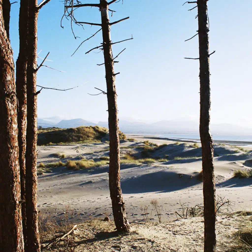 Eat Quiche, Sleep, Repeat