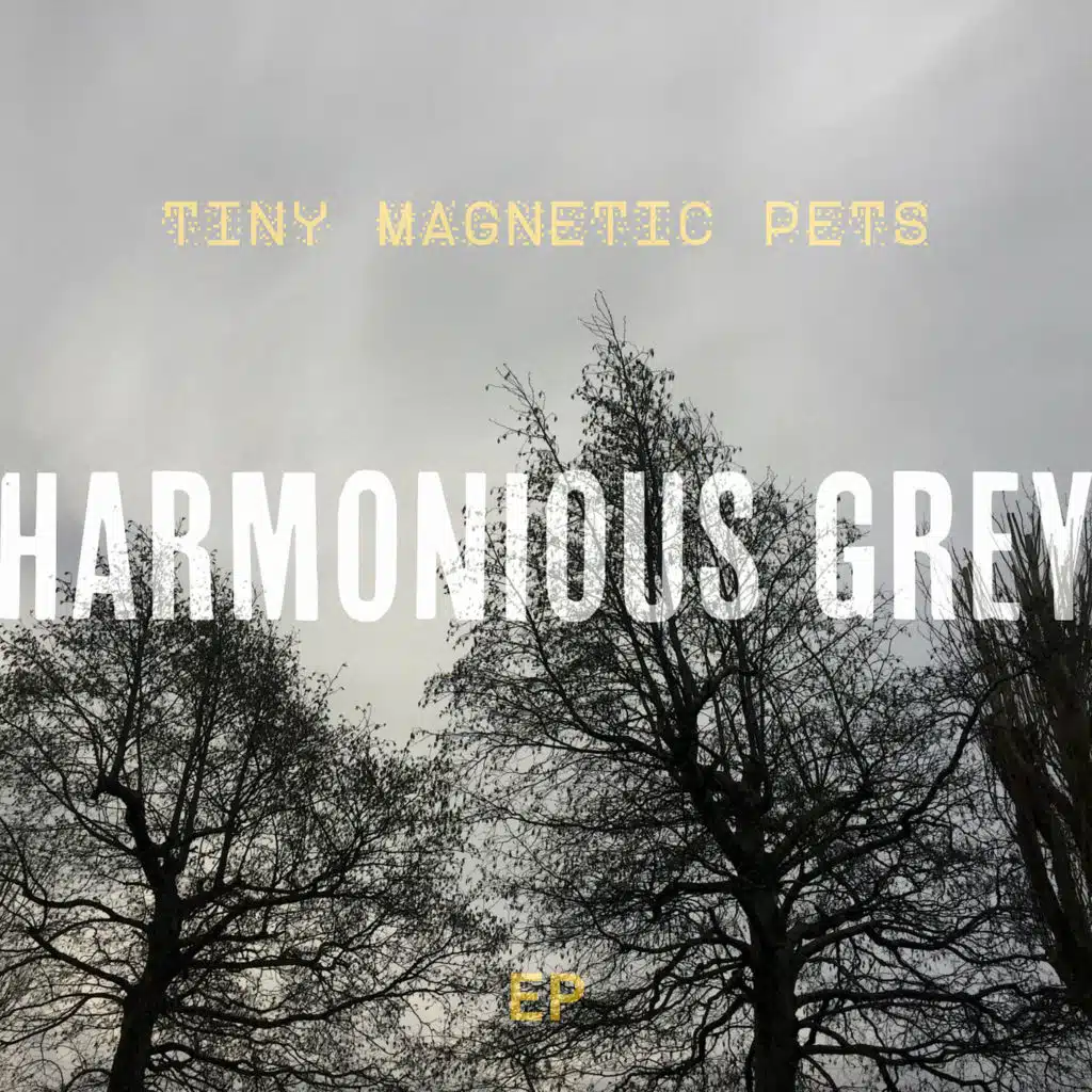 Tiny Magnetic Pets