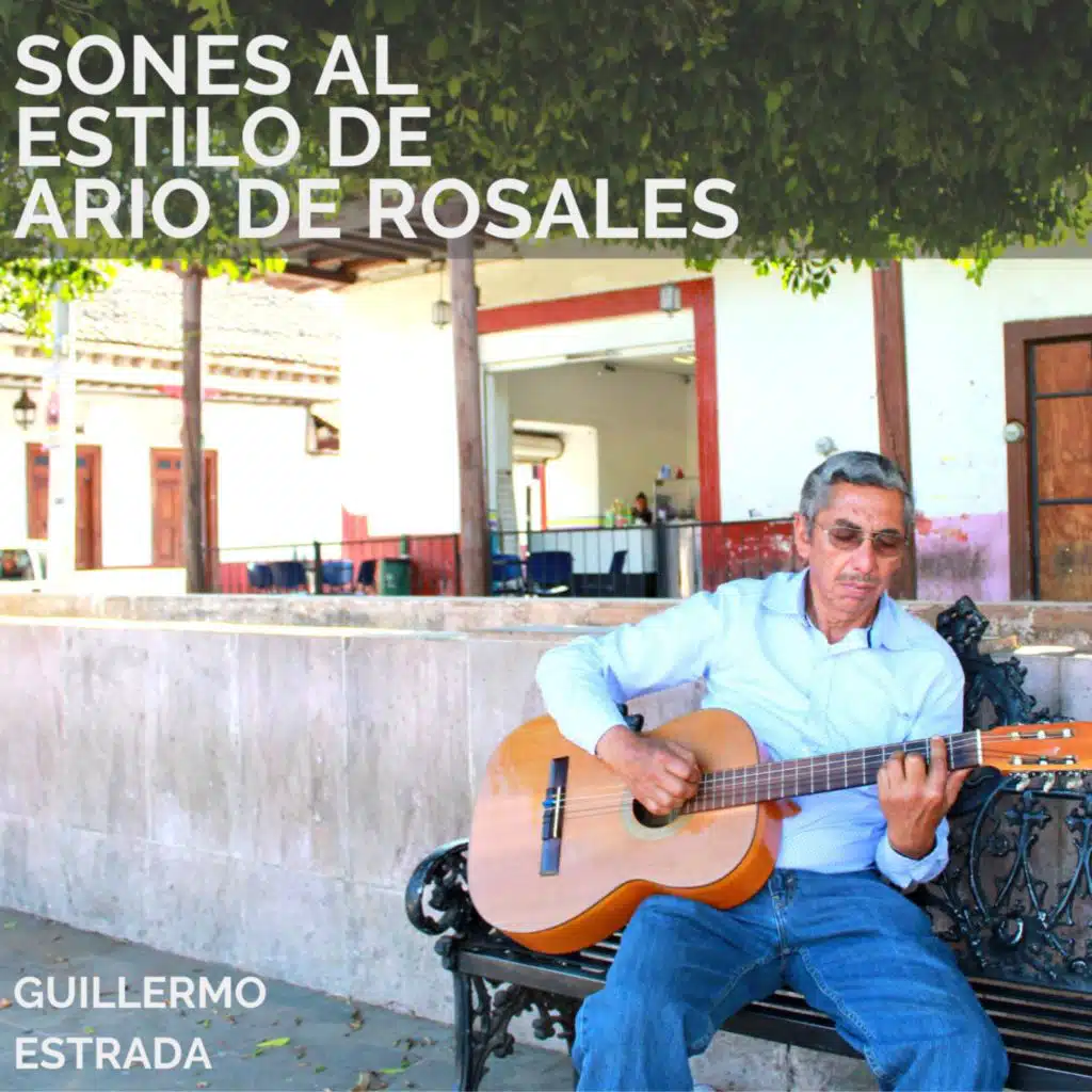 Sones Al Estilo de Ario de Rosales