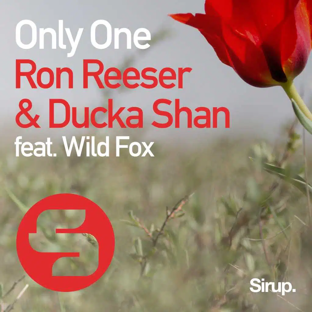 Only One (Original Club Mix) [feat. Wild Fox]