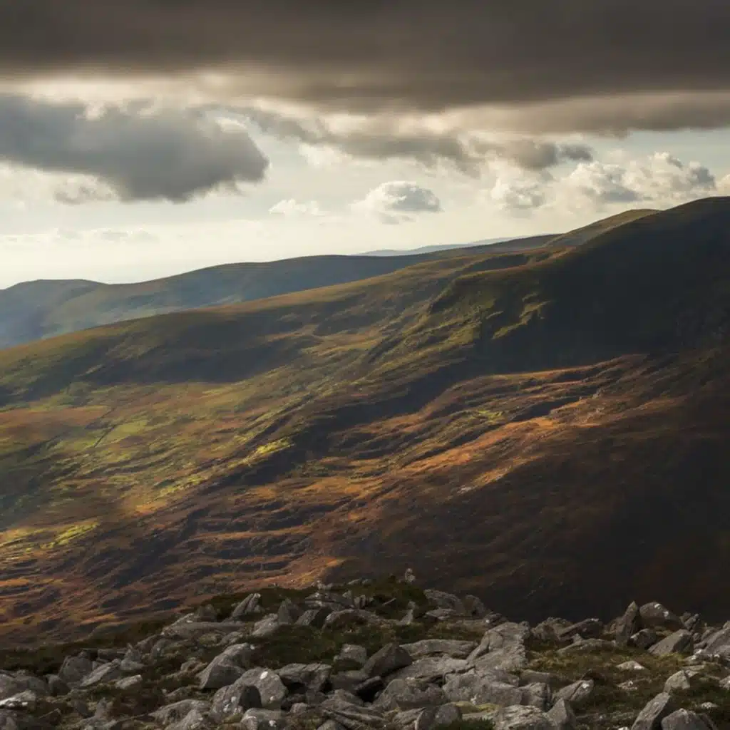 Yeha Noha (Wishes Of Happiness And Prosperity) (Slowed)