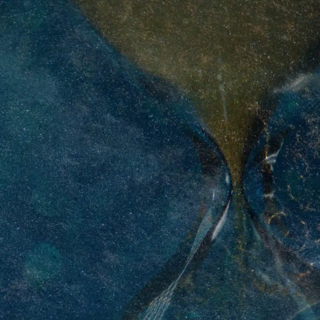 Dear Gravity & Raphah