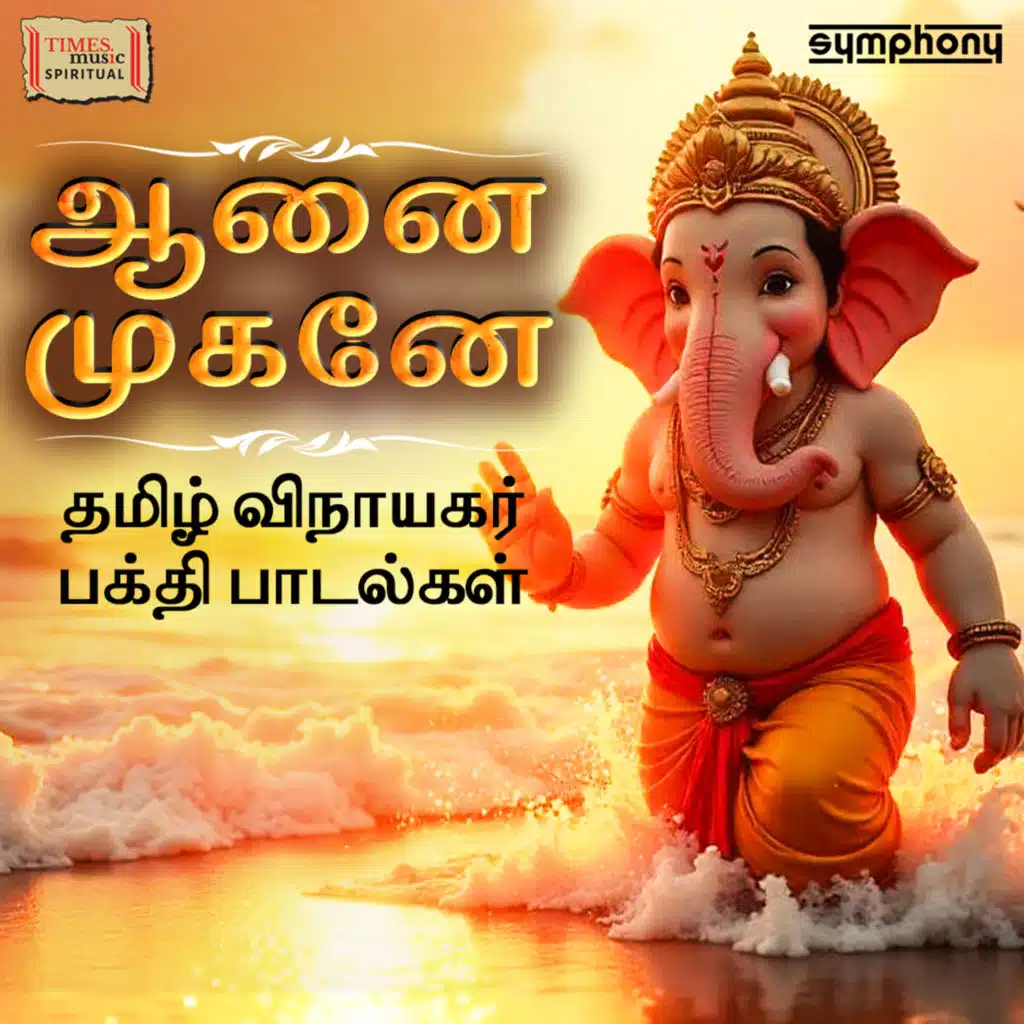 Seergazhi Sivachidambaram