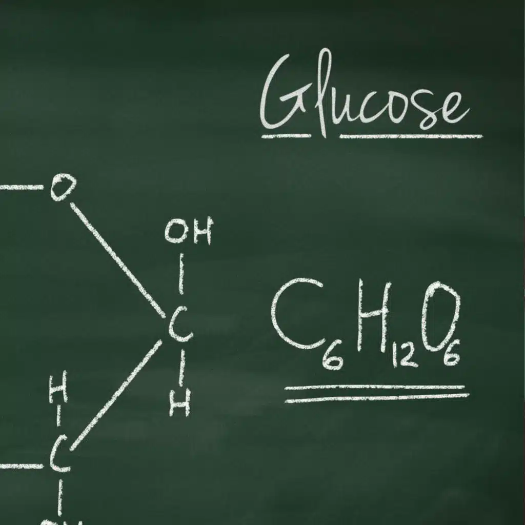 The business of Irish founded company Limbo