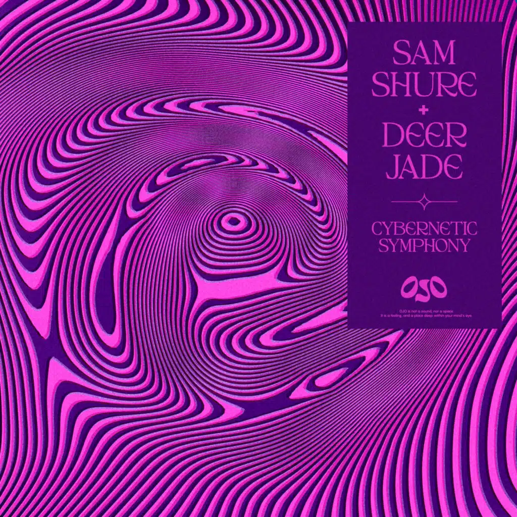 Cybernetic Symphony (feat. Bora Uzer)