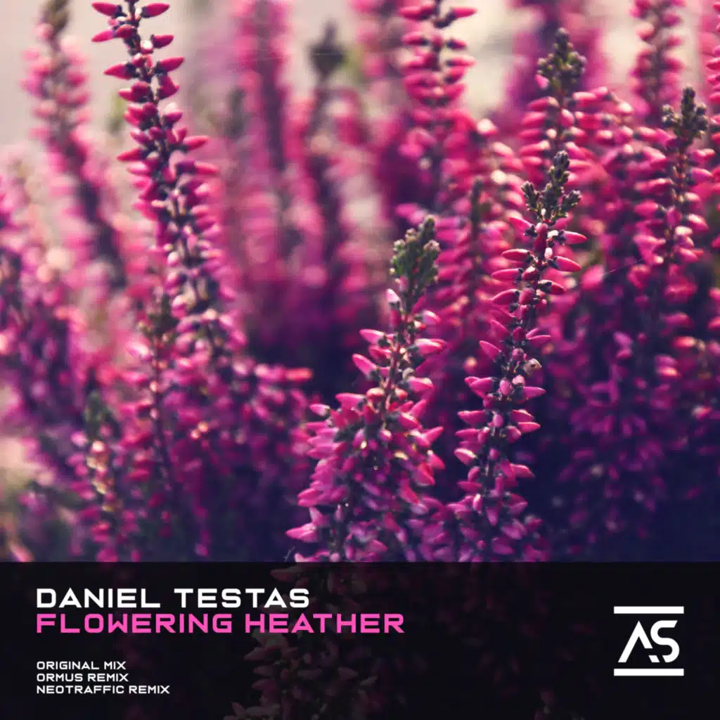 Flowering Heather (NeoTraffic Remix)