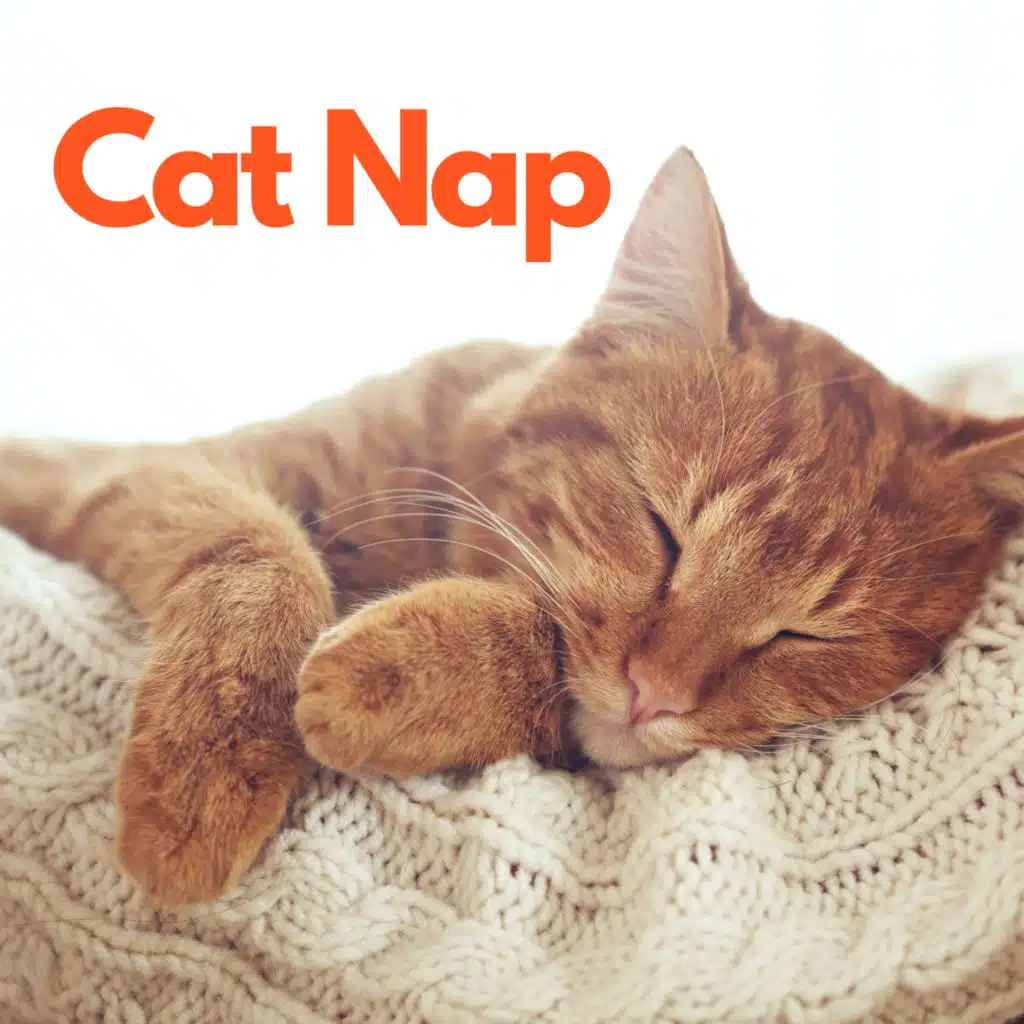 So My Darling (Acoustic)