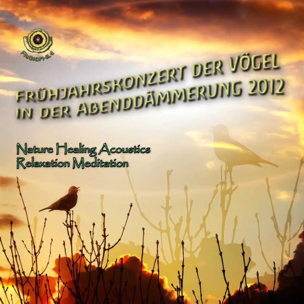 Frühjahrskonzert Der Vögel in Der Abenddämmerung 2012