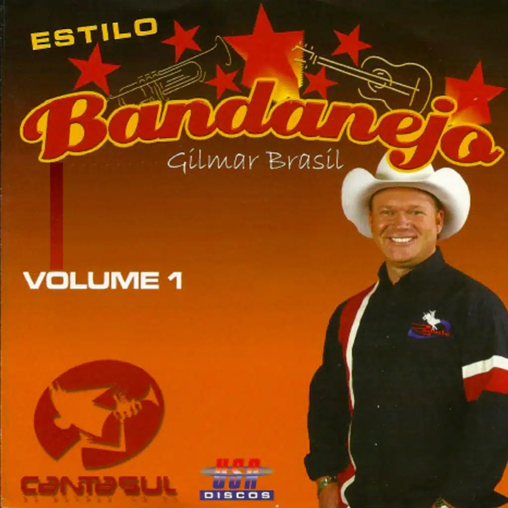ESTILO BANDANEJO