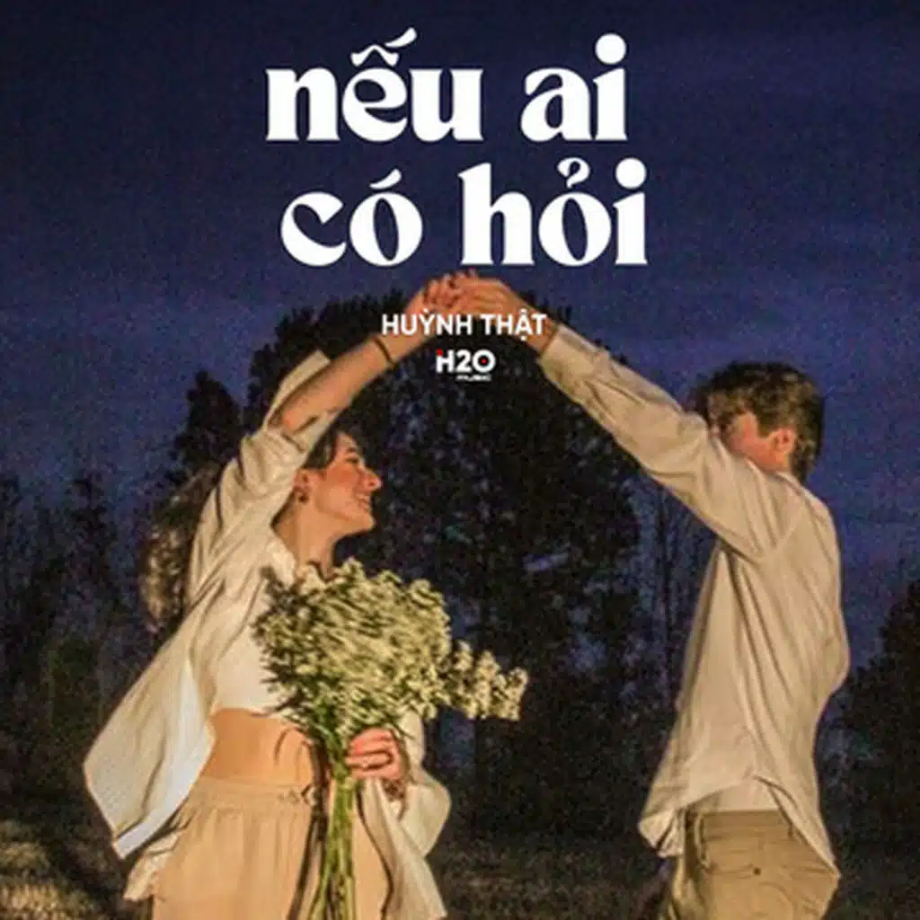 Nếu Ai Có Hỏi (Lofi)