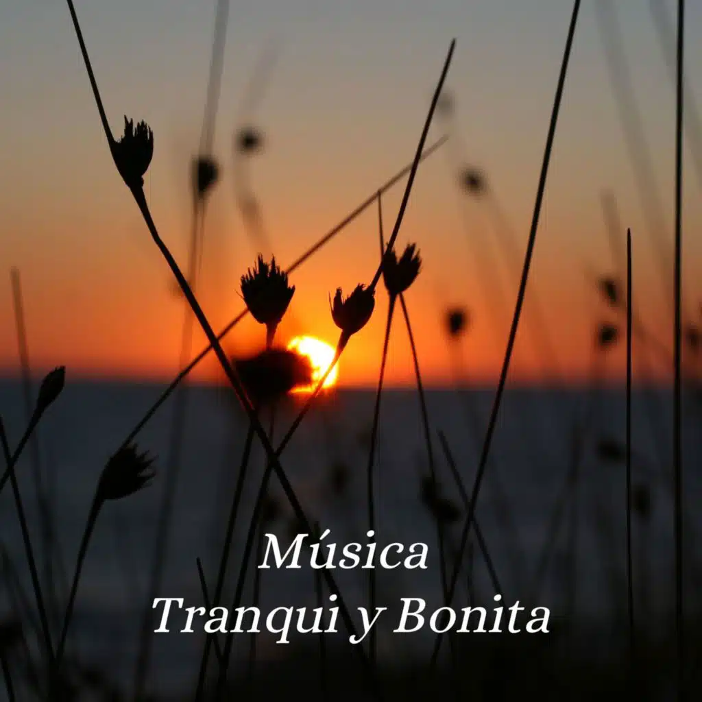 Música Tranqui y Bonita