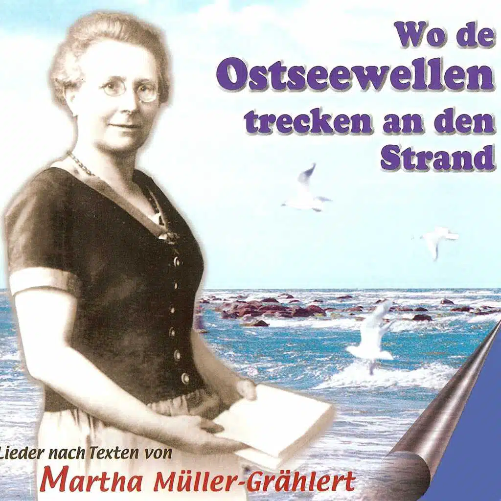 Wo de Ostseewellen trecken an den Strand