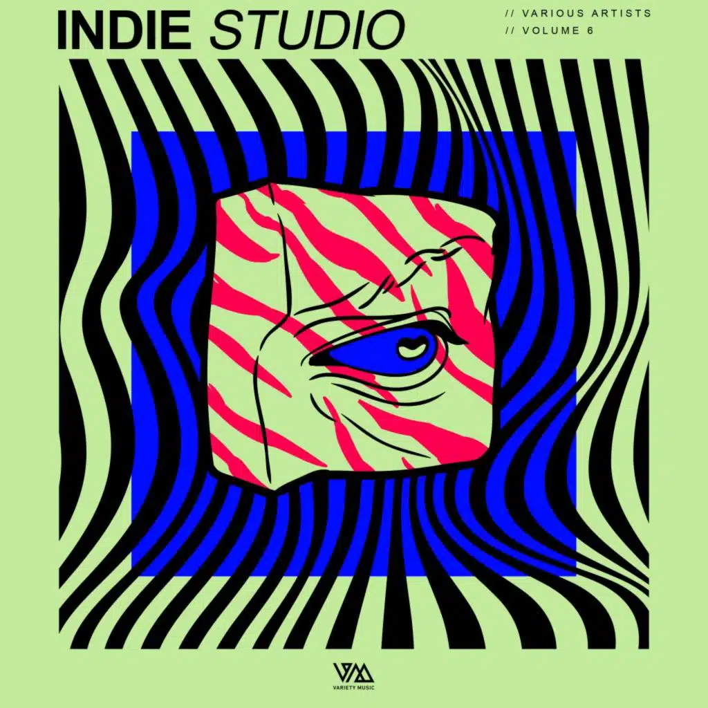 Indie Studio, Vol. 6