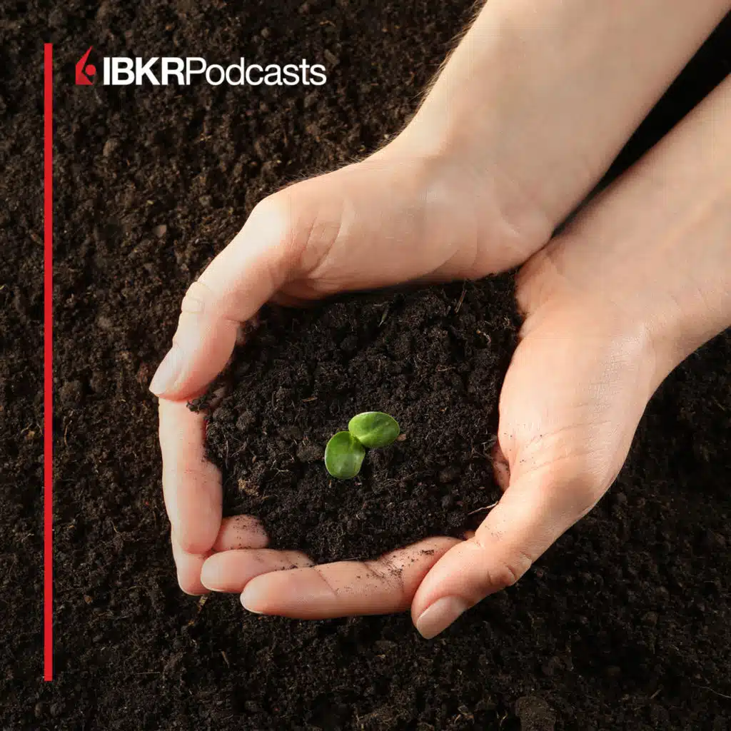 Is It Time to Reap What We’ve Tariffed?